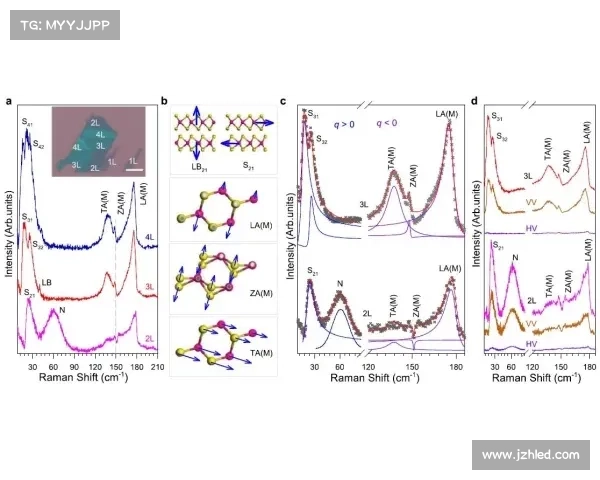 格里格斯研究的最新进展及其对现代科学领域的深远影响分析 格里格斯研究的最新进展及其对现代科学领域的深远影响分析